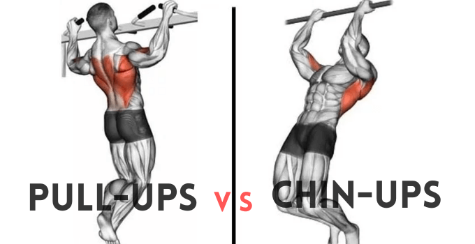 Pullups vs Chinups