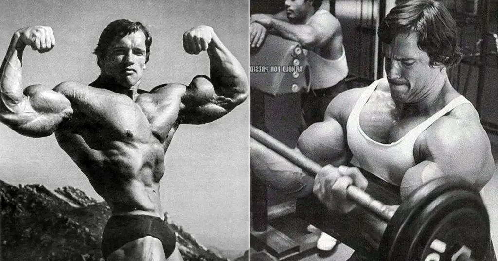Best Short Head Biceps Exercises