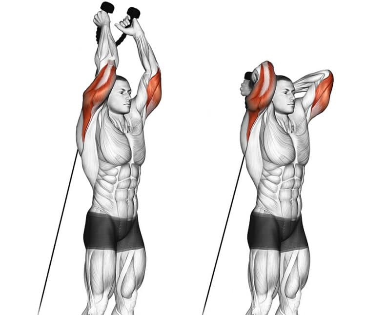 Cable overhead tricep extensions