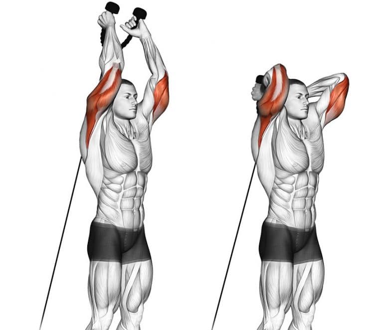 The 11 Best Triceps Pushdown Alternatives Fitness Volt
