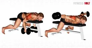 Dumbbell Lying Rear Lateral Raise