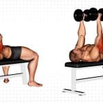 Dumbbell Lying Triceps Extension