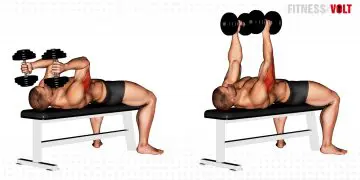 Dumbbell Lying Triceps Extension