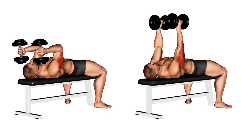 Dumbbell Lying Triceps Extension Upper Arms