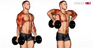 Dumbbell Raise Exercise