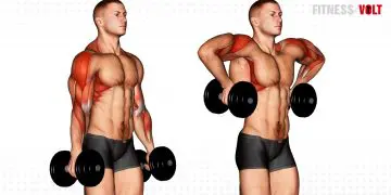 Dumbbell Raise Exercise