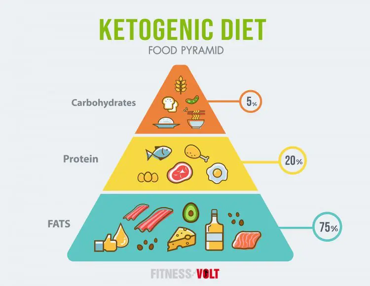 Ketogenic Diet Food Pyramid Infographic