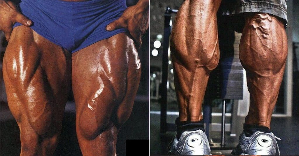 Lower Body Strength Routines