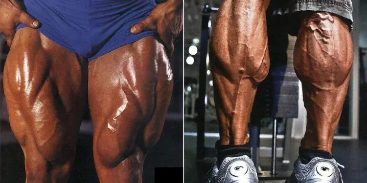 Lower Body Strength Routines