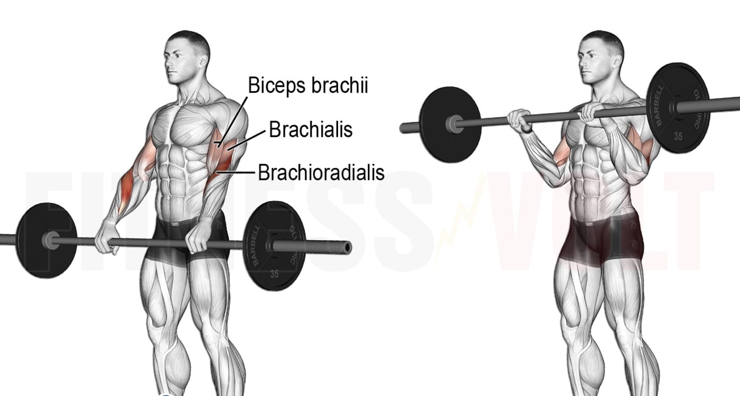 Строгий подъем на бицепс