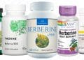 Best Berberine Supplements
