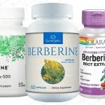 Best Berberine Supplements