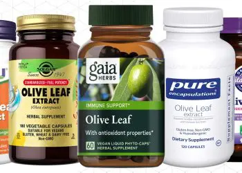 Best Olive Leaf Extract Supplements