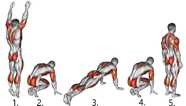 Burpees Muscles Worked