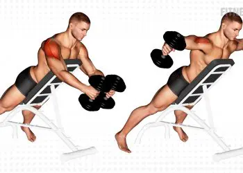 Dumbbell Reverse Fly Exercise
