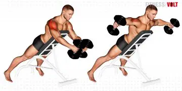 Dumbbell Reverse Fly Exercise