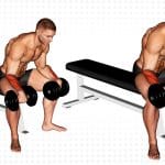 Dumbbell Reverse Wrist Curl Exercise Guide