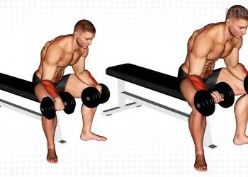Dumbbell Reverse Wrist Curl Exercise Guide