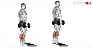 Dumbbell Standing Calf Raise