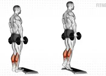Dumbbell Standing Calf Raise