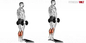 Dumbbell Standing Calf Raise