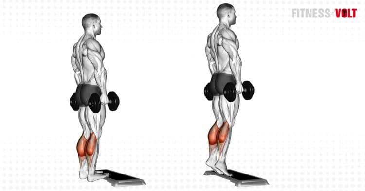 Dumbbell Standing Calf Raise Exercise Guide and Videos – Fitness Volt