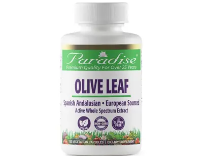 Paradise Olive Leaf