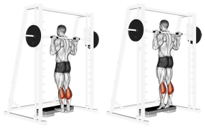 The 18 Best Smith Machine Exercises – Fitness Volt