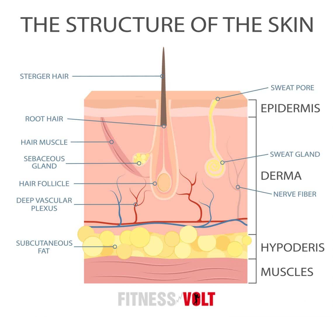 How To Say Goodbye To Loose Skin After Weight Loss – Fitness Volt