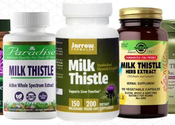 Best Milk Thistle Supplement Brands