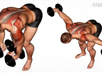Dumbbell Rear Lateral Raise