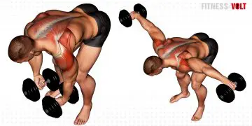 Dumbbell Rear Lateral Raise