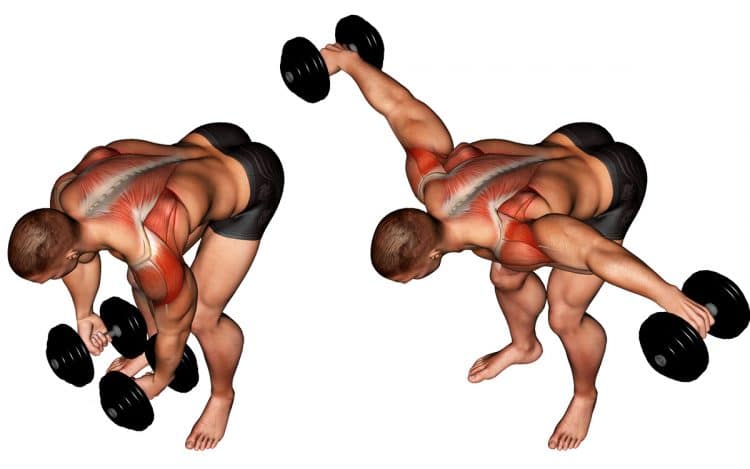 Dumbbell Rear Lateral Raise Shoulders