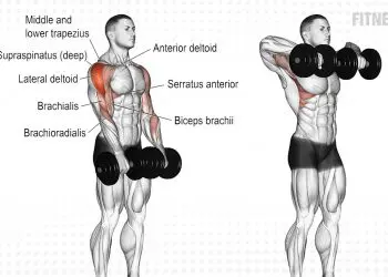 Dumbbell Upright Row
