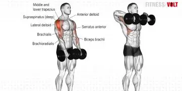Dumbbell Upright Row
