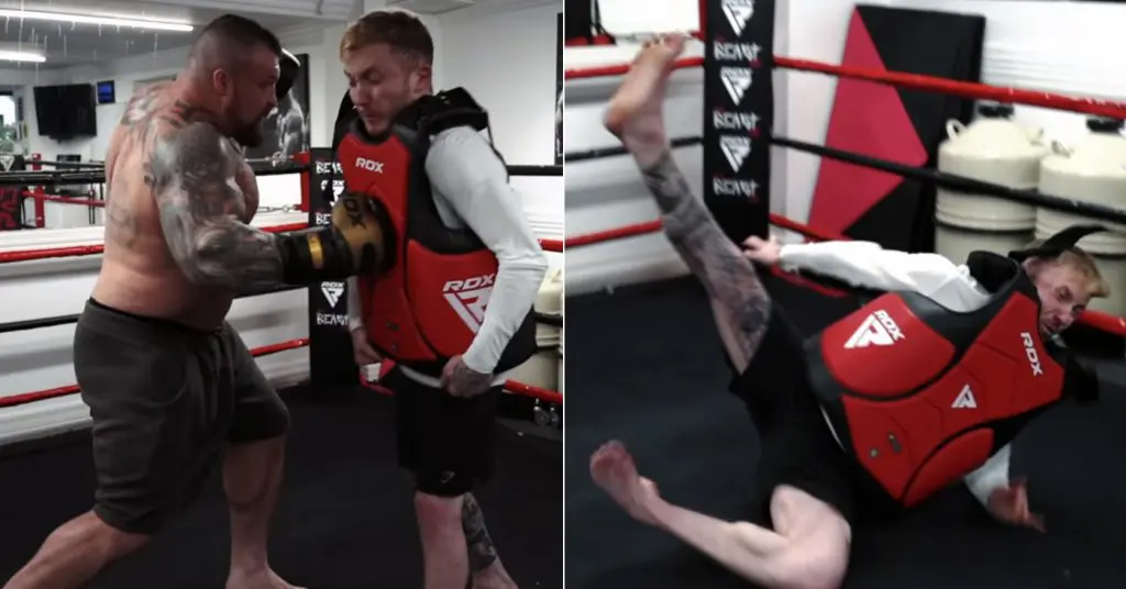 Eddie Hall Punching Power