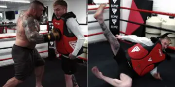 Eddie Hall Punching Power