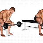 Finger Curls Exercise