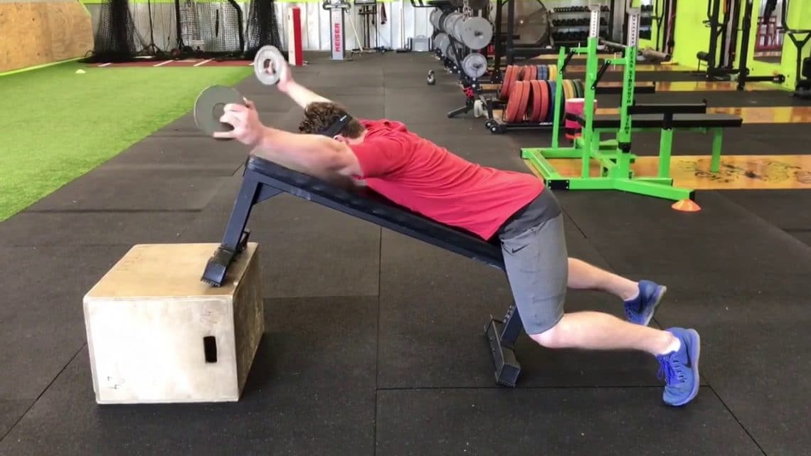 The 7 Best Lower Trap Exercises – Fitness Volt