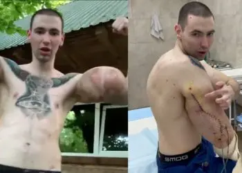 Kirill Tereshin Synthol Kid