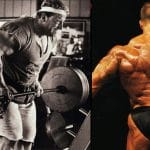 Yates Row Exercise Guide