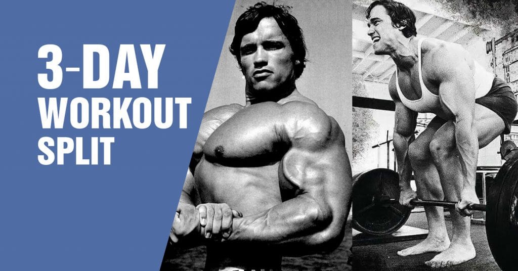 Three-day workout split organized across a training week