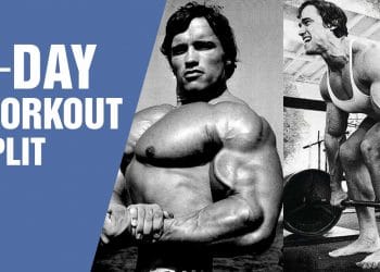 3 Day Workout Split