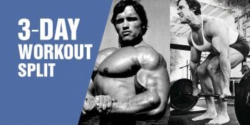3 Day Workout Split