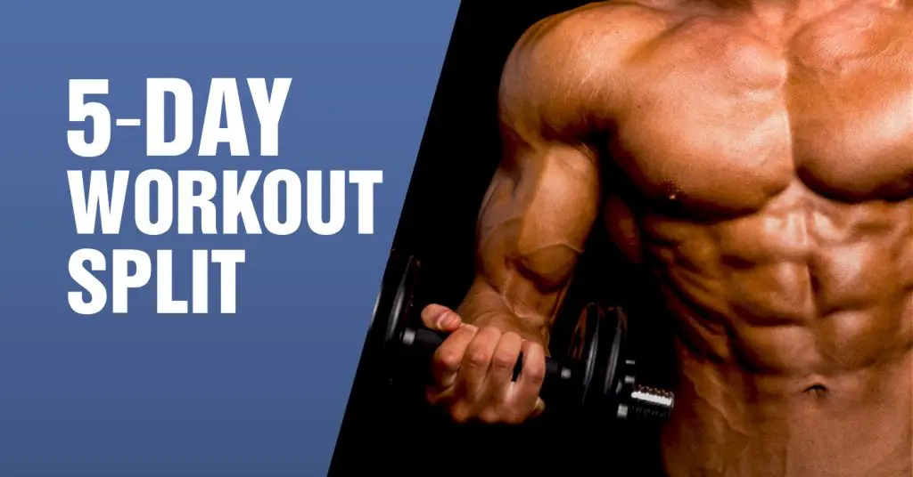 5-Day Workout Split Routine