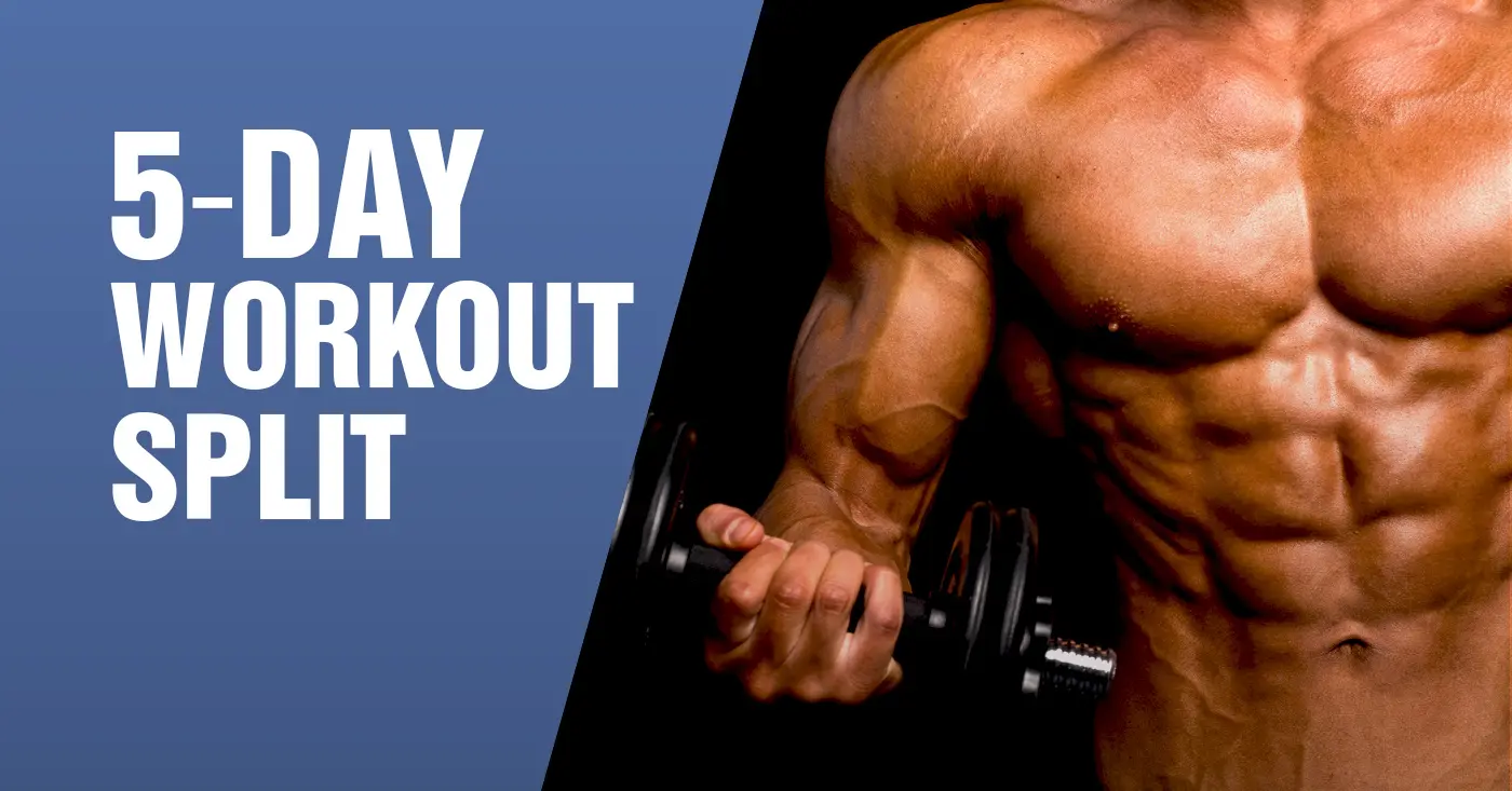5-Day Workout Split Routine