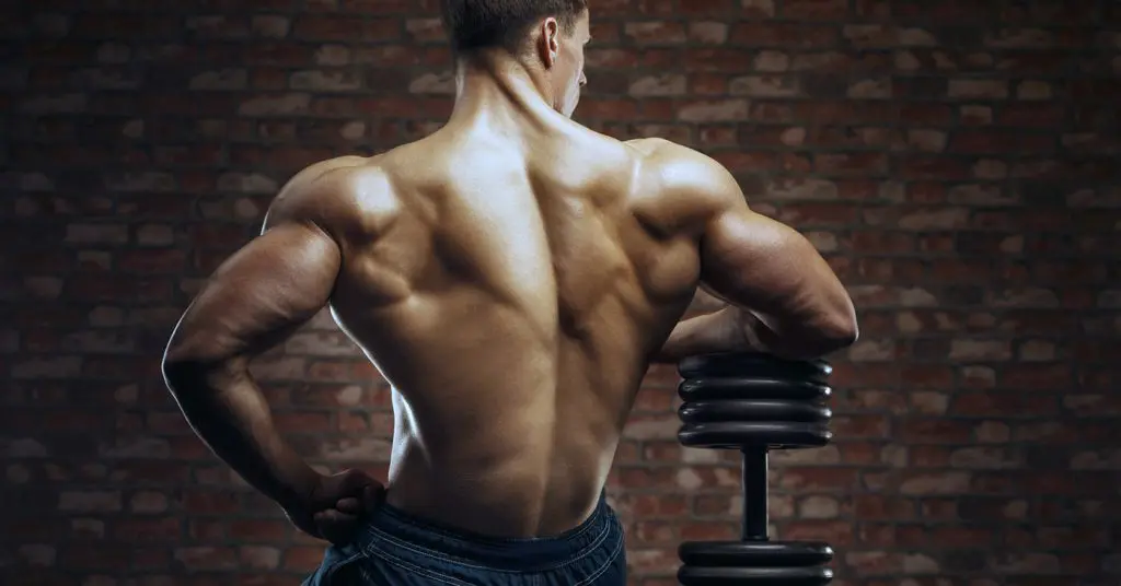 Back Stretching Exercises