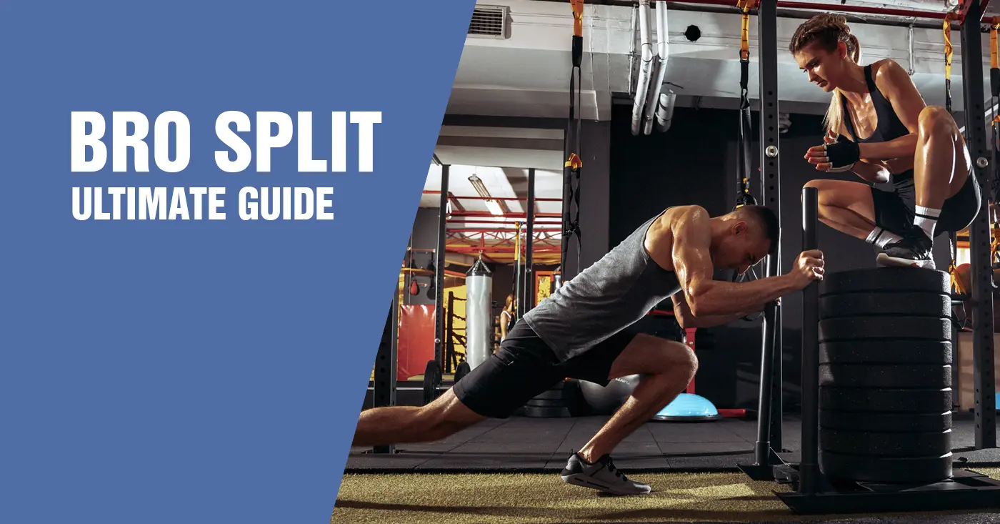 Bro Split Workout Guide