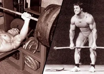 Exercises Per Muscle Group