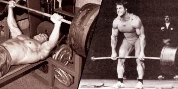 Exercises Per Muscle Group